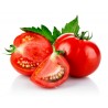 Price: €1.5 - Tomatensamen Moneymaker - 