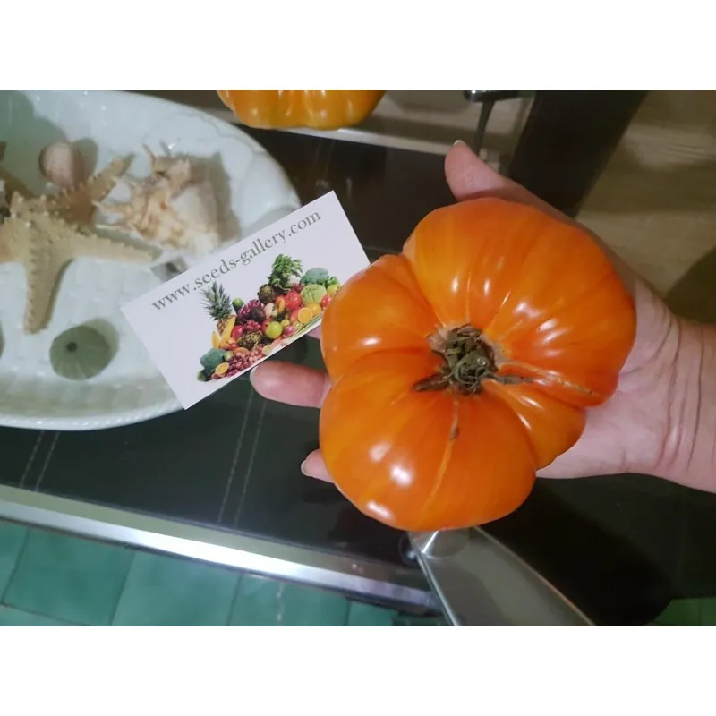 Pineapple Beefsteak Tomato Seeds