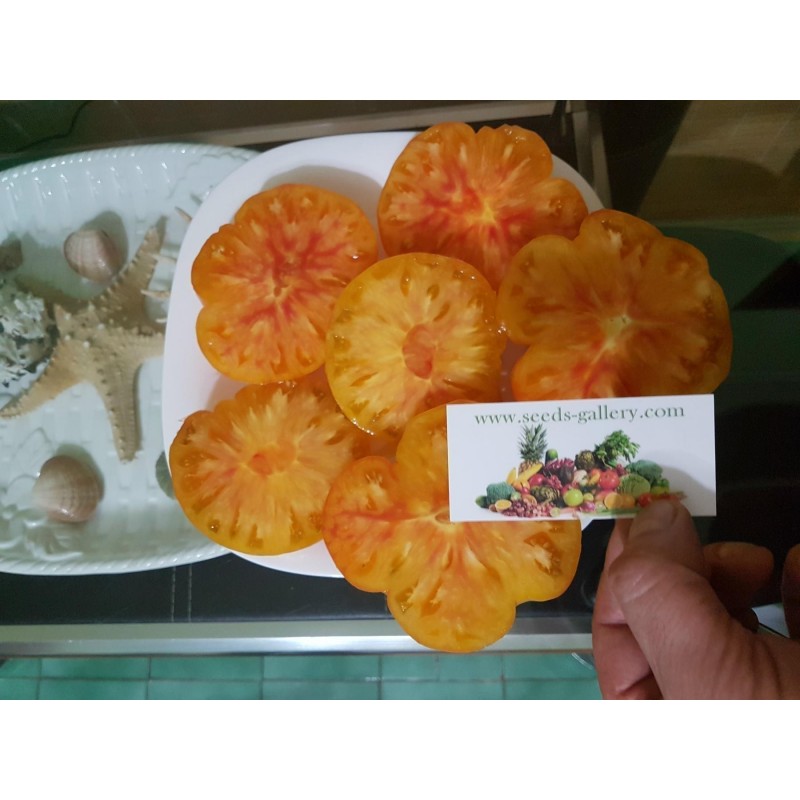 Price: €2.1 - Semi di pomodoro Ananas - Pineapple - Seeds Gallery