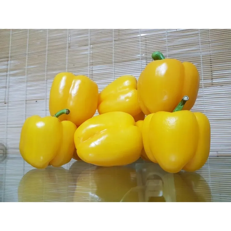 Quadrato Dasti Giallo - Rosso Paprika Samen