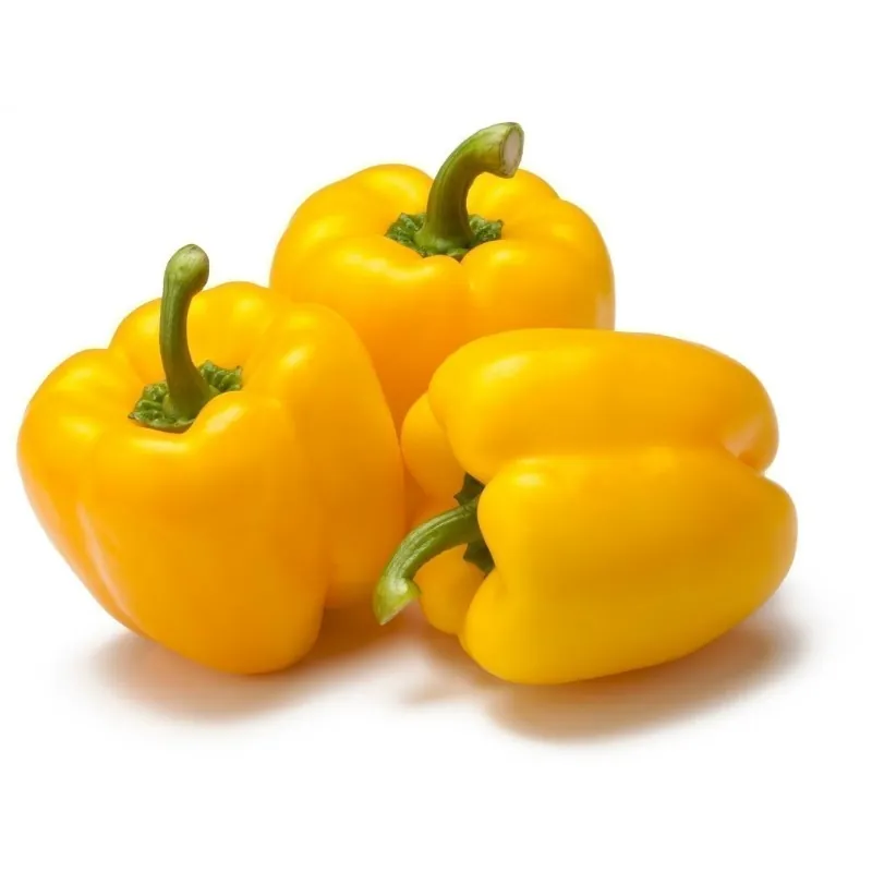 Quadrato Dasti Giallo - Rosso Paprika Samen