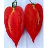 Andenhorn Tomatensamen