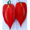 Price: €1.95 - Andine Cornue tomat frön - Seeds Gallery
