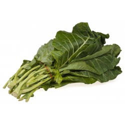 Price: €1.95 - Σπόροι Seakale (Crambe maritime) - Seeds Gallery