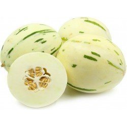 Semillas de melón blanco SNOW LEOPARD - MUY RARO