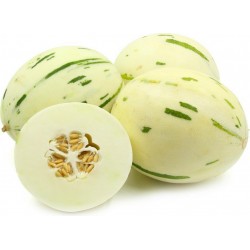 Price: €1.75 - Semillas de melón blanco SNOW LEOPARD - MUY RARO - Seeds Gallery