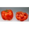 Price: €1.75 - Semillas de tomate Striped Stuffer - Seeds Gallery