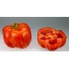 Semillas de tomate Striped Stuffer