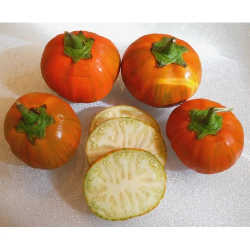 Semillas be Berenjena Turco, Berenjena Etíope (Solanum aethiopicum)