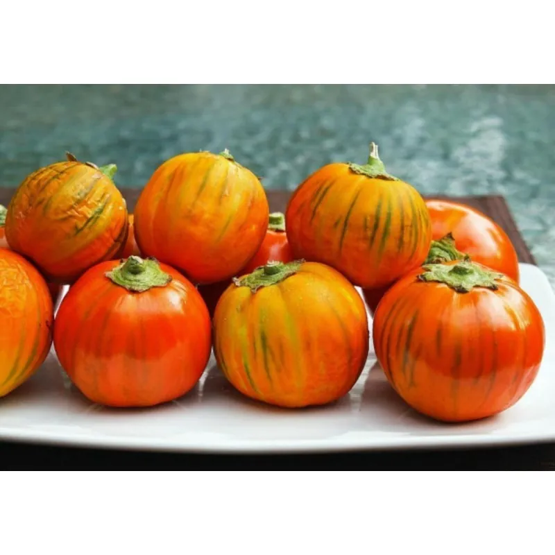Semillas be Berenjena Turco, Berenjena Etíope (Solanum aethiopicum)