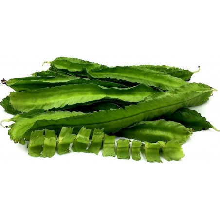 WINGED BEAN Seeds (Psophocarpus tetragonolobus) | β¬Β 2,20