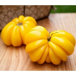 Yellow Ruffled Heirloom Tomato Seeds