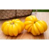 Tomatensamen YELLOW RUFFLED