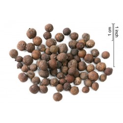 Kryddpeppar eller piment Frön (Pimenta dioica)