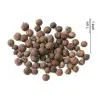 Seminte de ienibahar (Pimenta dioica)