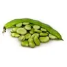 Semi di Fava Favino Favetta (Vicia faba)