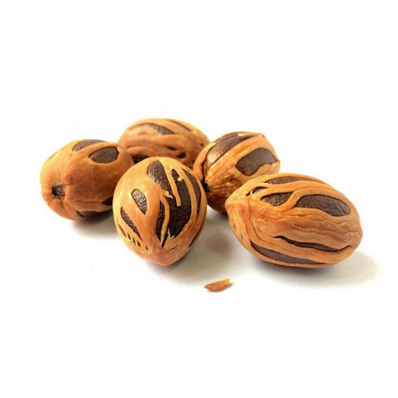 Price: €4.95 - Semi di Noce Moscata - 