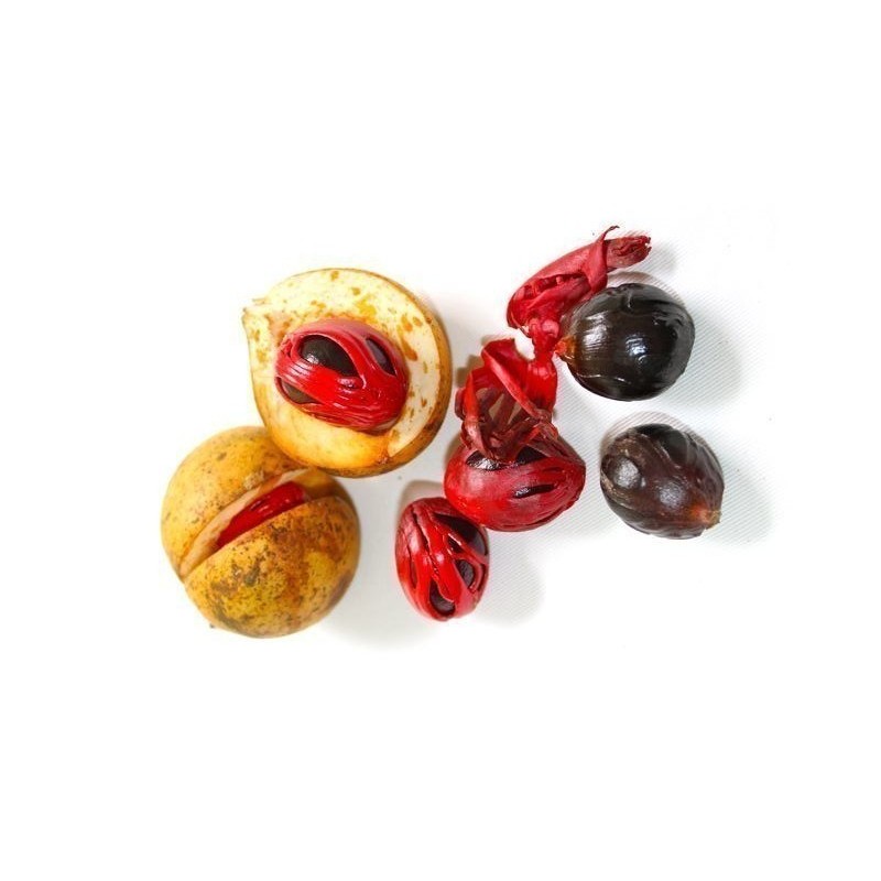 Nutmeg Seeds - Aphrodisiac 🌳🌼🌸🌿🌱🍉