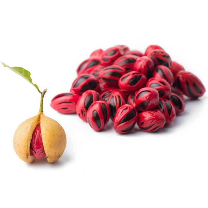 Nutmeg Seeds - Aphrodisiac 🌳🌼🌸🌿🌱🍉