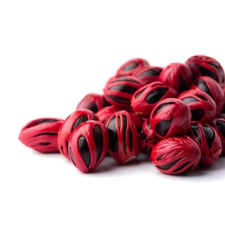 Nutmeg Seeds - Aphrodisiac 🌳🌼🌸🌿🌱🍉