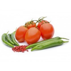 Anzucht Pflegeanleitung für Chili, Tomaten, Gurken Samen