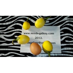 Golden Eggs Seeds