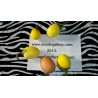Price: €1.85 - Patlidzan Jaje Drvo Seme (Solanum melongena) - 