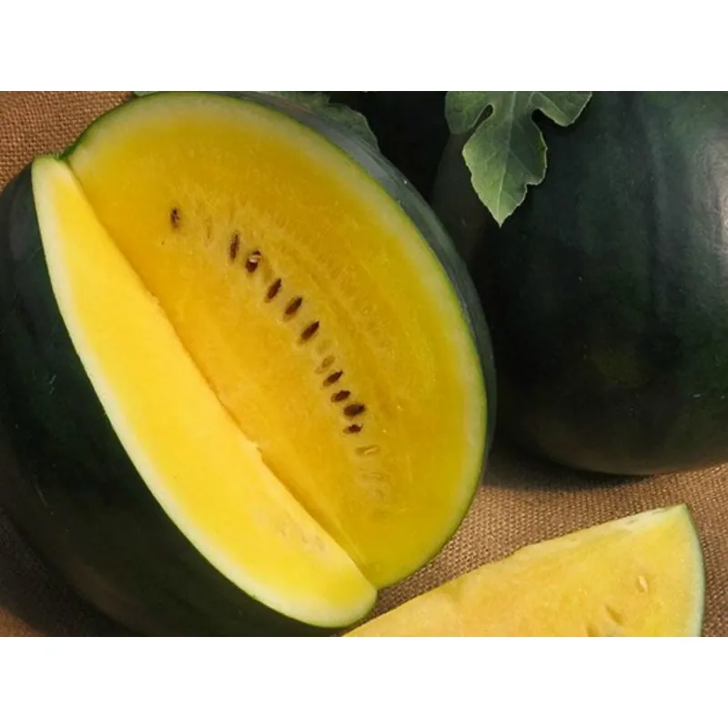 Vattenmelon Frön JANOSIK