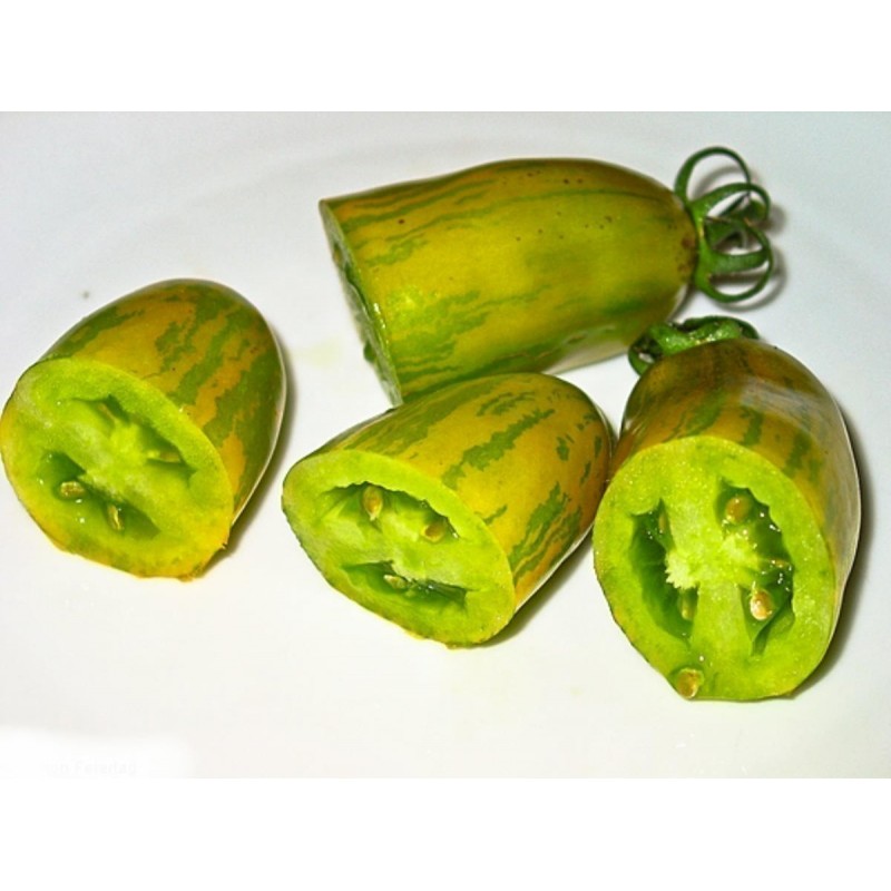 Price: €2 - Graines de tomate Saucisse Verte (Green sausage) - Seeds Gallery