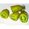 Green Sausage Tomato Seeds