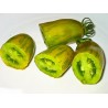 Price: €2 - Semi di pomodoro Salsiccia verde (Green sausage) - Seeds Gallery