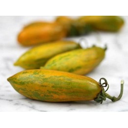 Green Sausage Tomato Seeds - 1.8