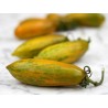Price: €2 - Semillas de tomate Chorizo ​​verde (Green Sausage) - Seeds Gallery