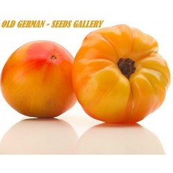 Price: €1.85 - Σπόροι Ντομάτα OLD GERMAN - Seeds Gallery