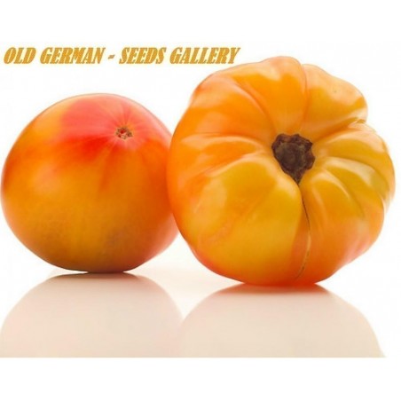 Price: €1.85 - Semi Di Pomodoro OLD GERMAN - Seeds Gallery