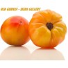 Price: €1.85 - Graines Tomate ancienne OLD GERMAN - Seeds Gallery