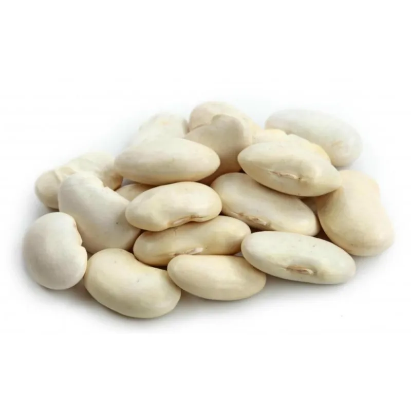 Giant White LIMA Bean Seeds