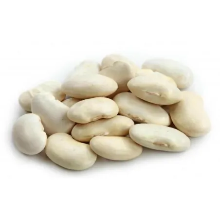 Giant White LIMA Bean Seeds