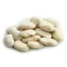 Graines de HARICOT DE LIMA Géant Blanc