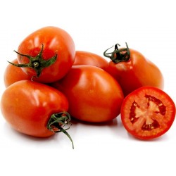 Price: €1.85 - Sementes de tomate Roma Nano - 