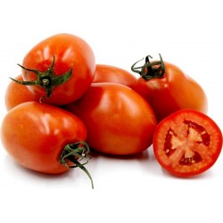 Tomatfrön ROMA NANO