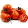 Tomato Seeds Roma Nano