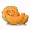 Sockermelon frön HALES BEST JUMBO