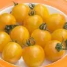 Semillas de tomate Artisan Golden Bumble Bee