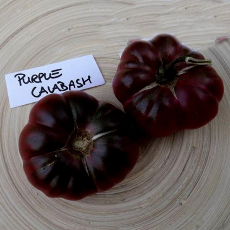 Sementes De Tomate PURPLE CALABASH