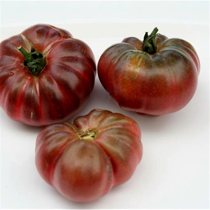 Purple Calabash, Aztec heirloom tomato seeds - 1.485