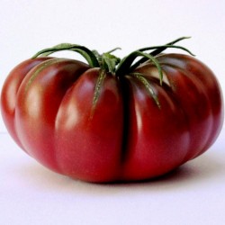 Price: €1.65 - Ντομάτα σπόρος PURPLE CALABASH - Seeds Gallery