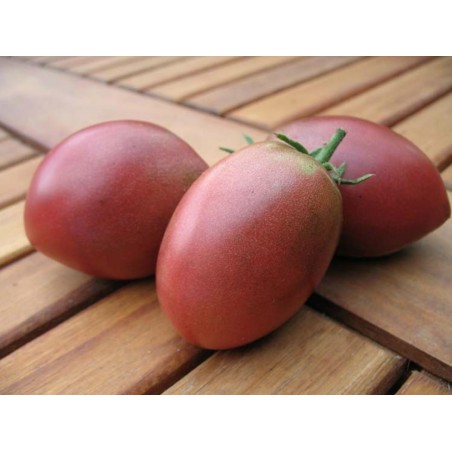 Price: €1.95 - Semillas de tomate Ruso púrpura - Seeds Gallery