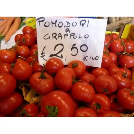 GRAPPOLO Tomatensamen