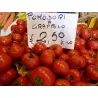 GRAPPOLO Tomatensamen